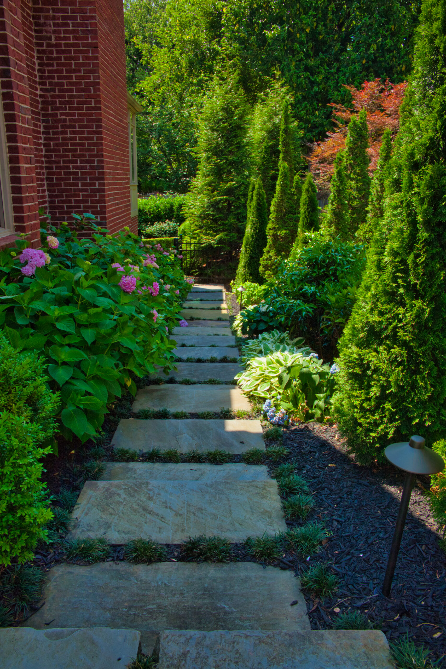 Stone paver stairway surrounded by gorgeous greenery